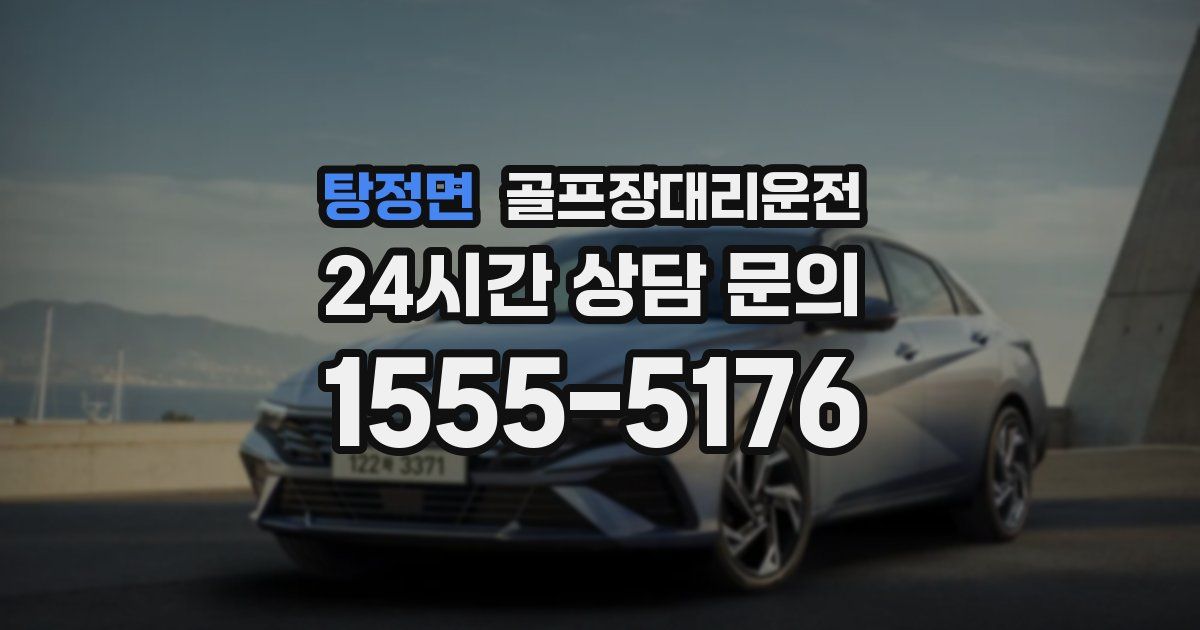 골프장대리운전 서비스