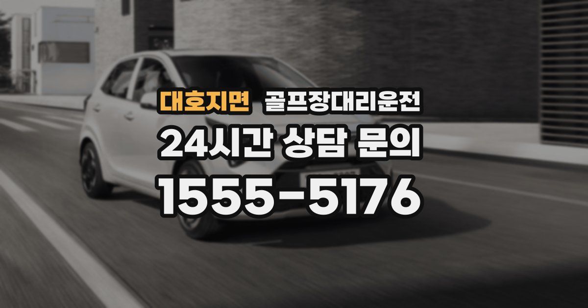 골프장대리운전 서비스