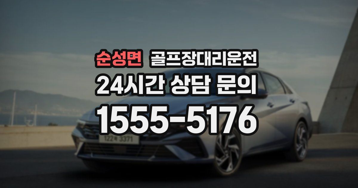 골프장대리운전 서비스