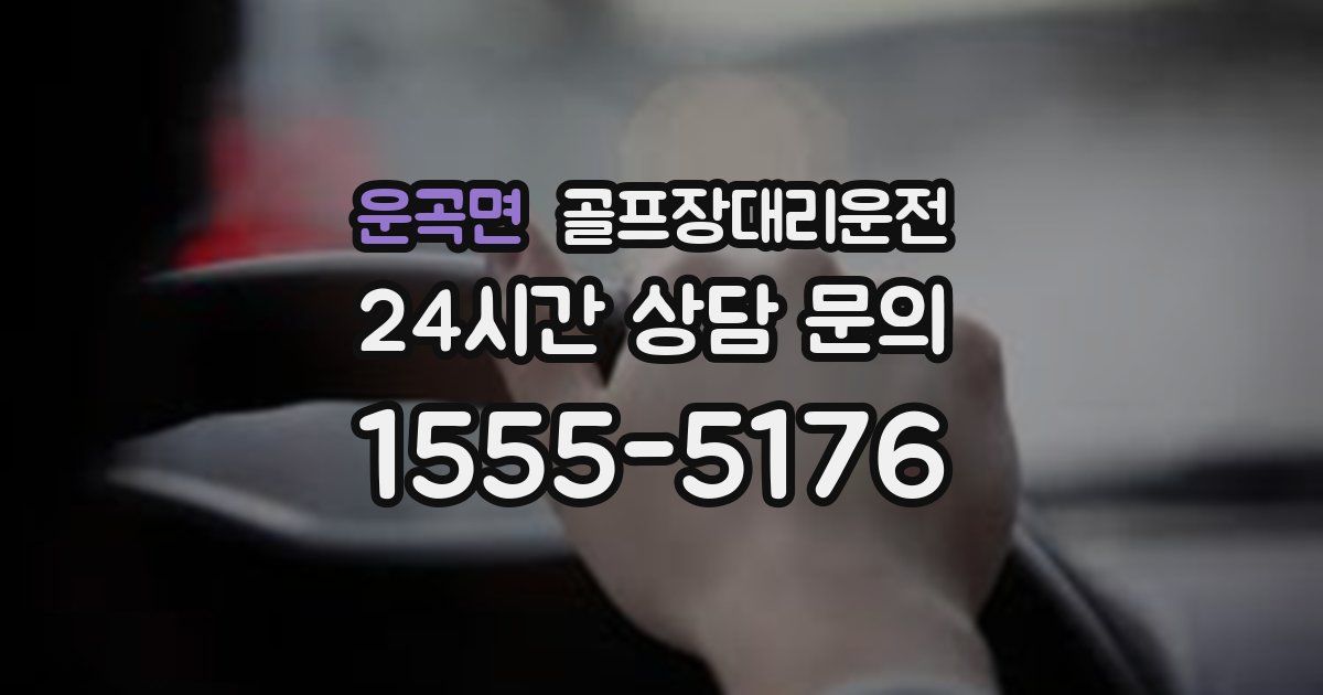 골프장대리운전 서비스