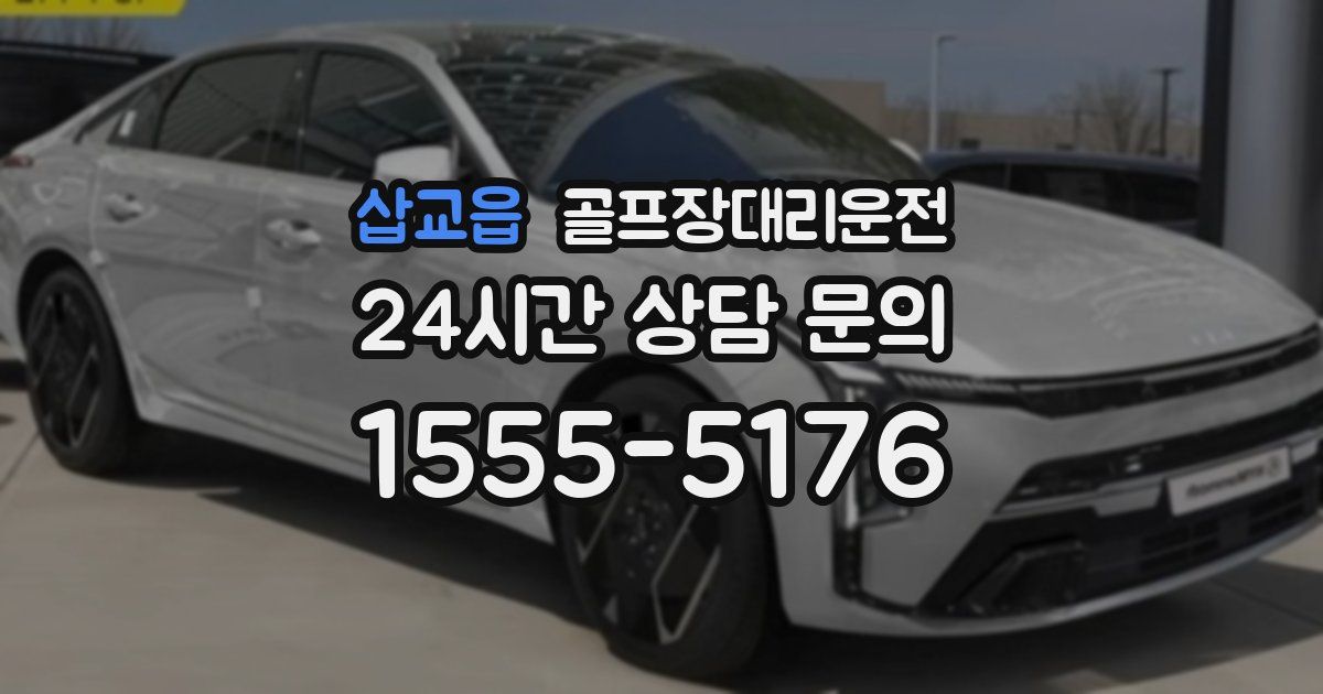 골프장대리운전 서비스