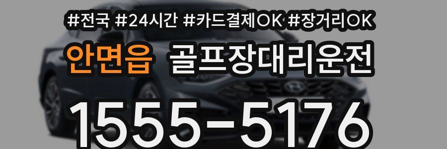 안면읍 골프장대리운전