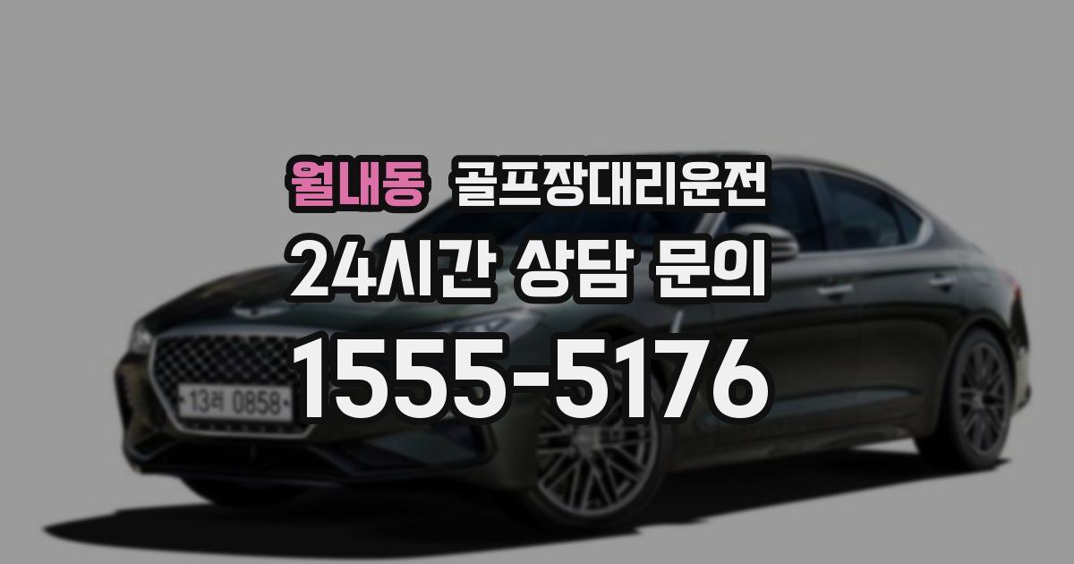 골프장대리운전 서비스