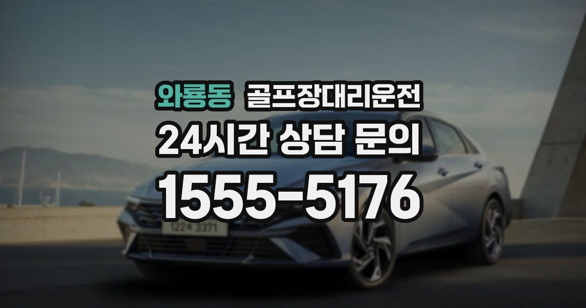 골프장대리운전 서비스