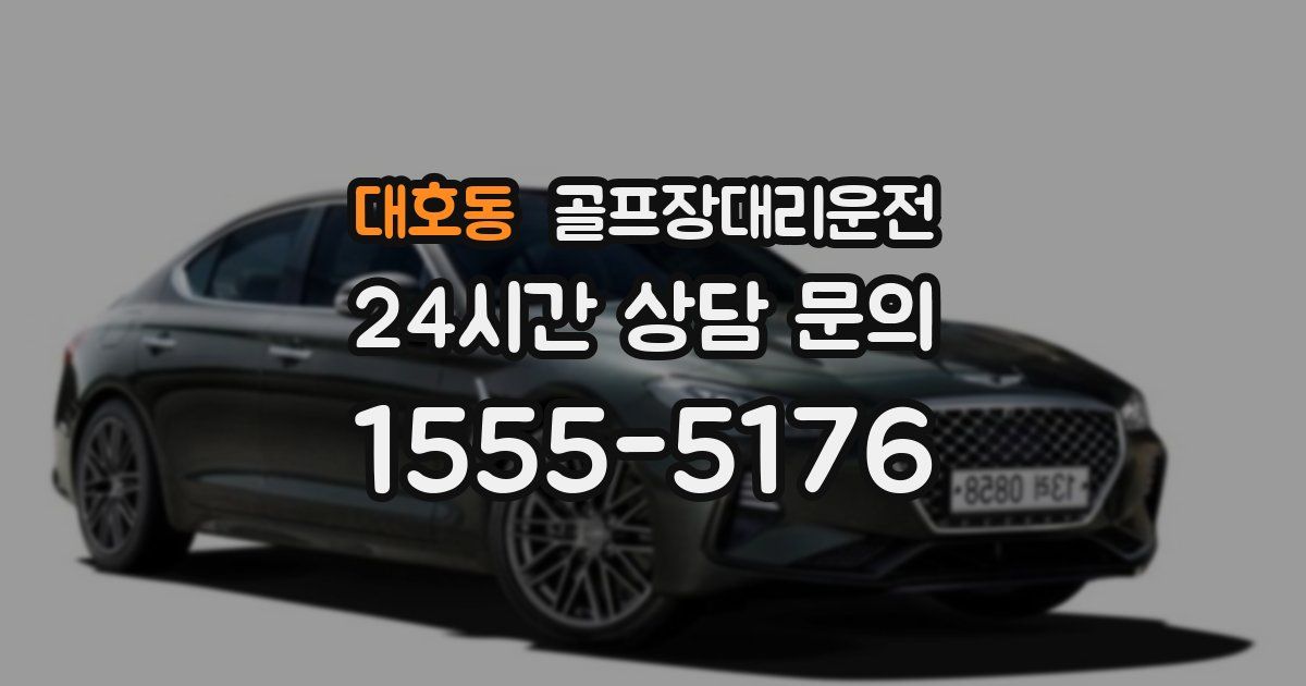 골프장대리운전 서비스