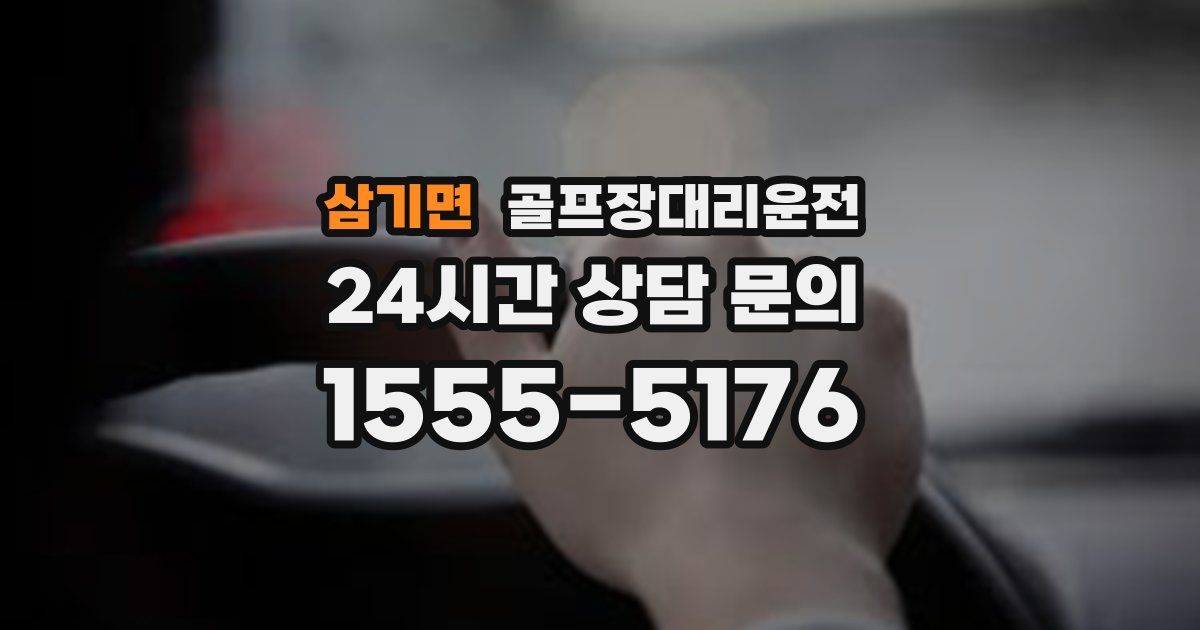 골프장대리운전 서비스