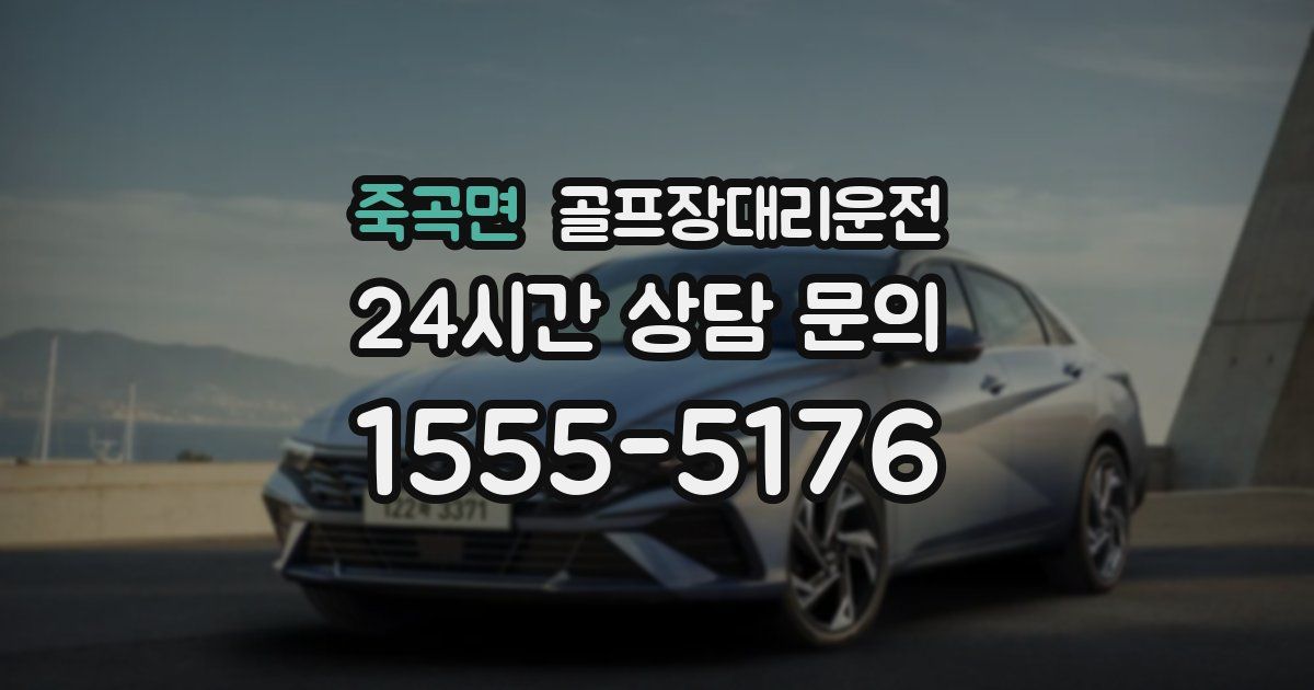 골프장대리운전 서비스