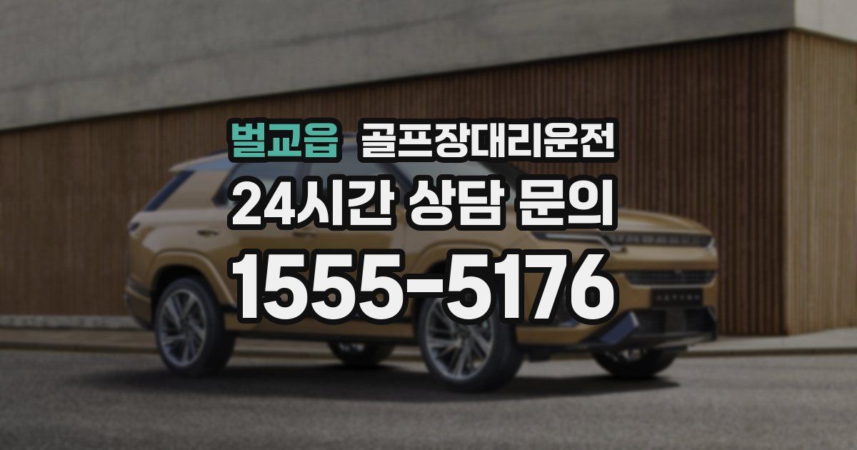 골프장대리운전 서비스