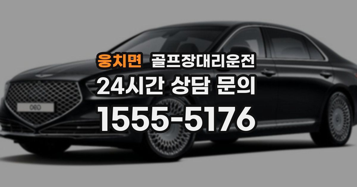 골프장대리운전 서비스