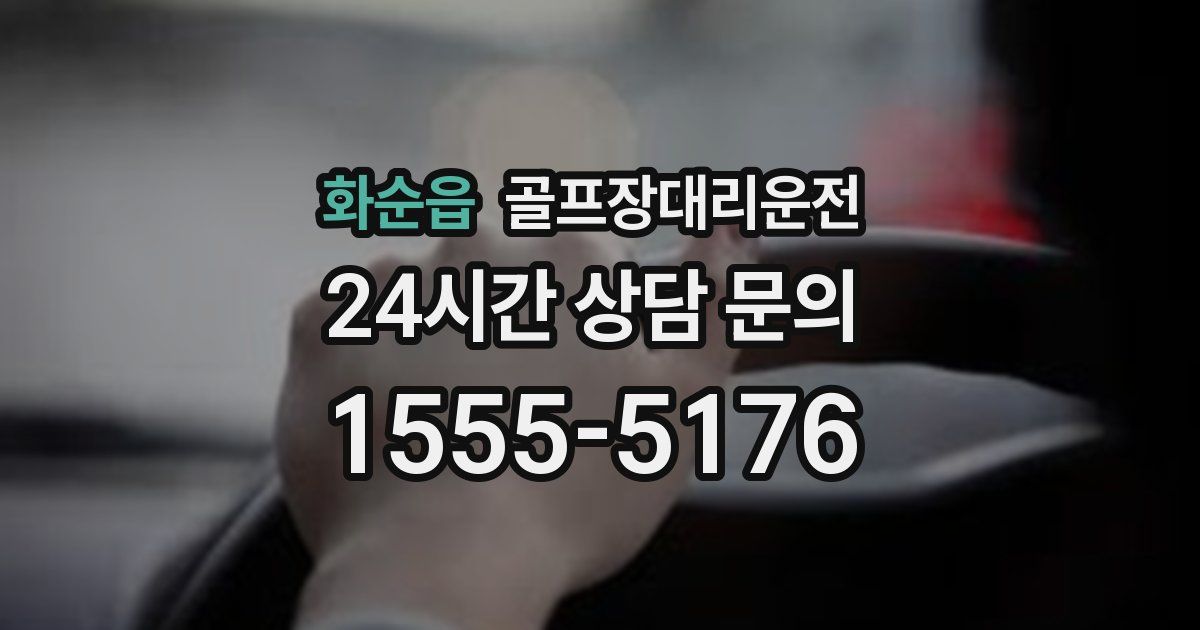 골프장대리운전 서비스