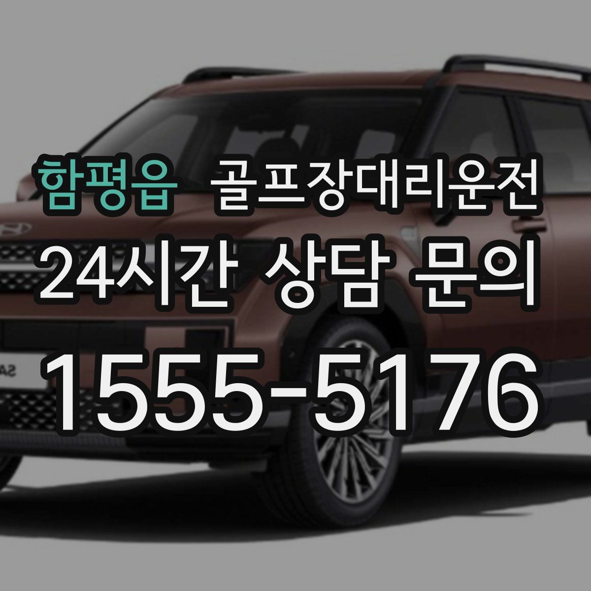 골프장대리운전