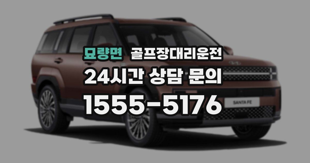 골프장대리운전 서비스