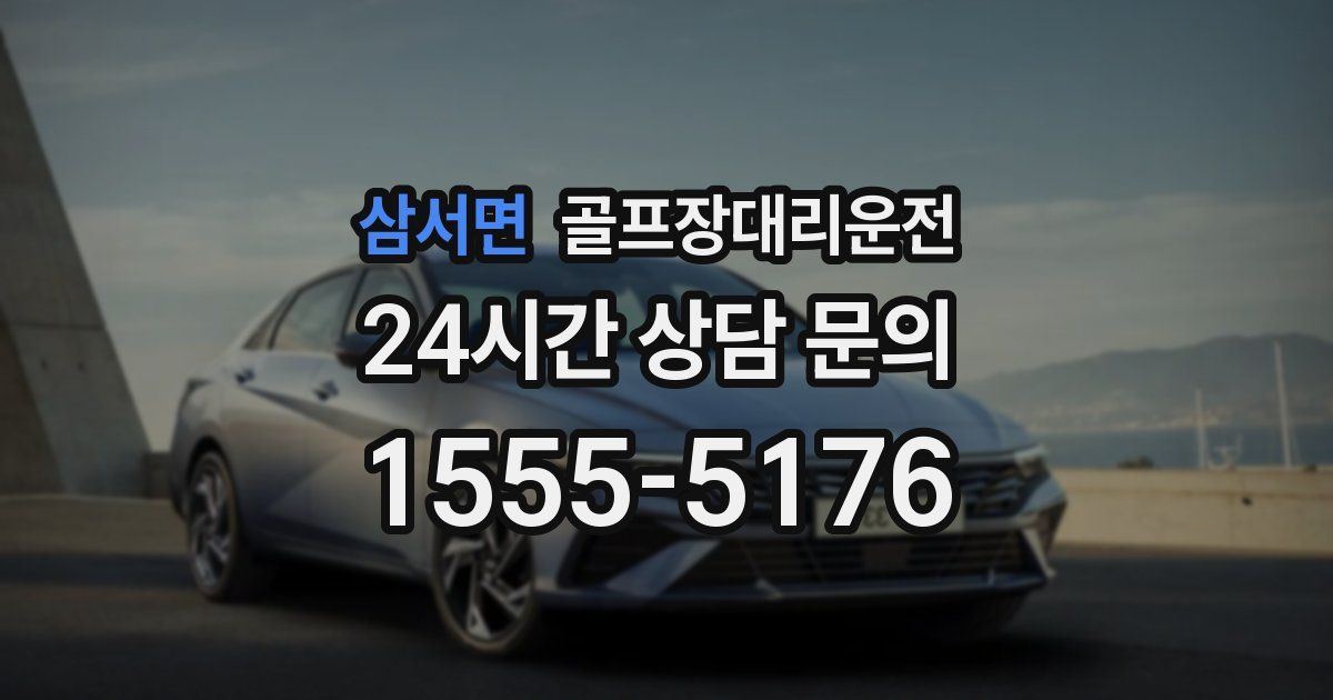 골프장대리운전 서비스