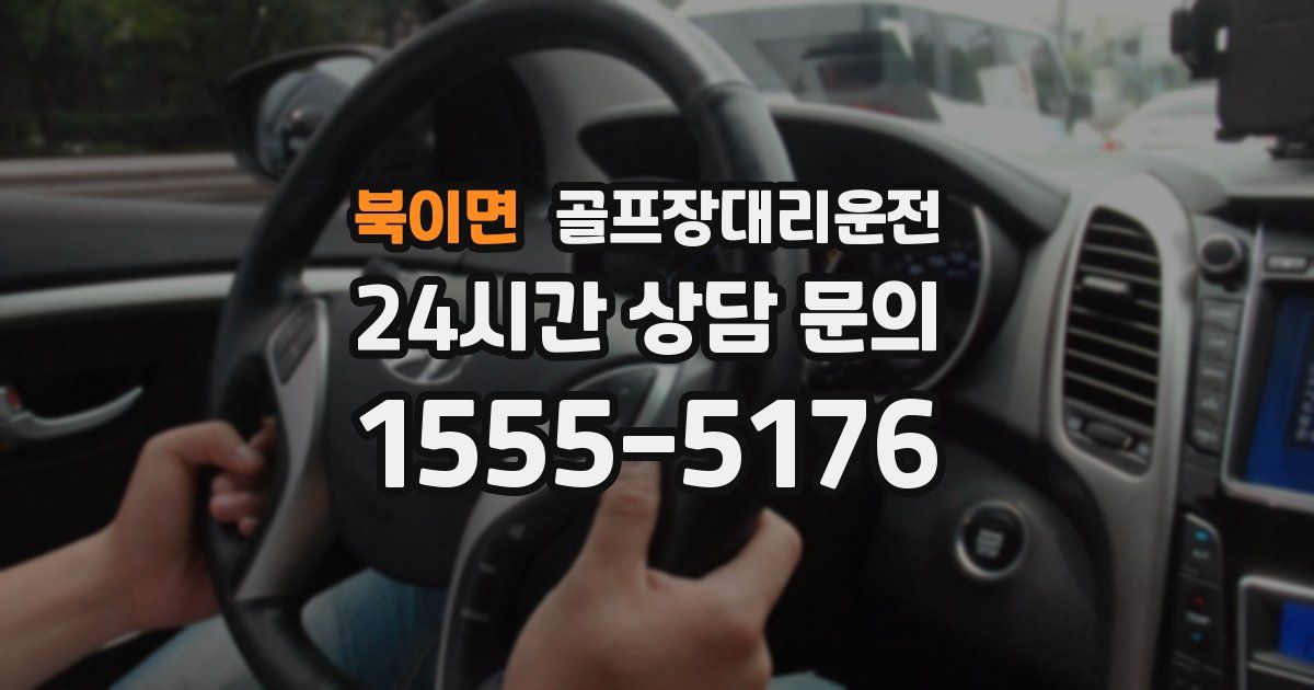 골프장대리운전 서비스