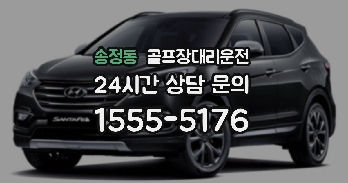 골프장대리운전 서비스