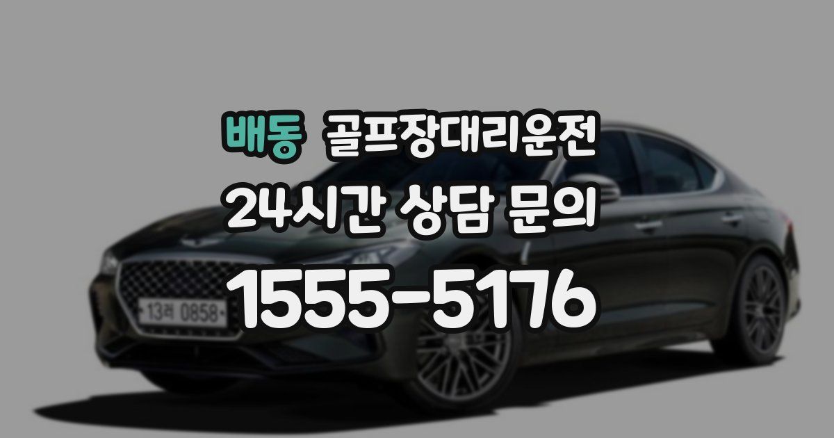 골프장대리운전 서비스