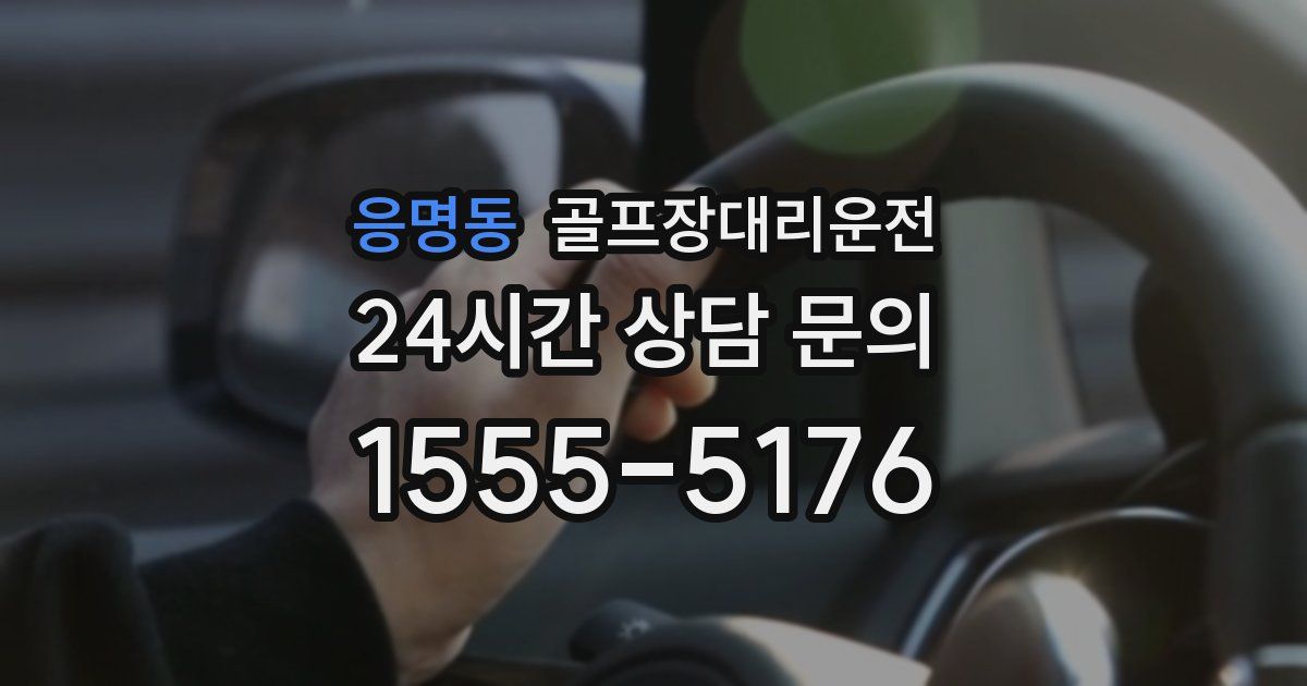 골프장대리운전 서비스