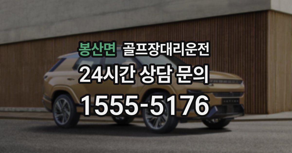 골프장대리운전 서비스