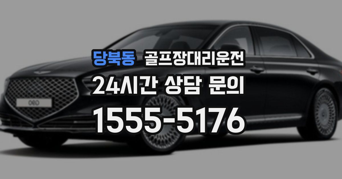골프장대리운전 서비스
