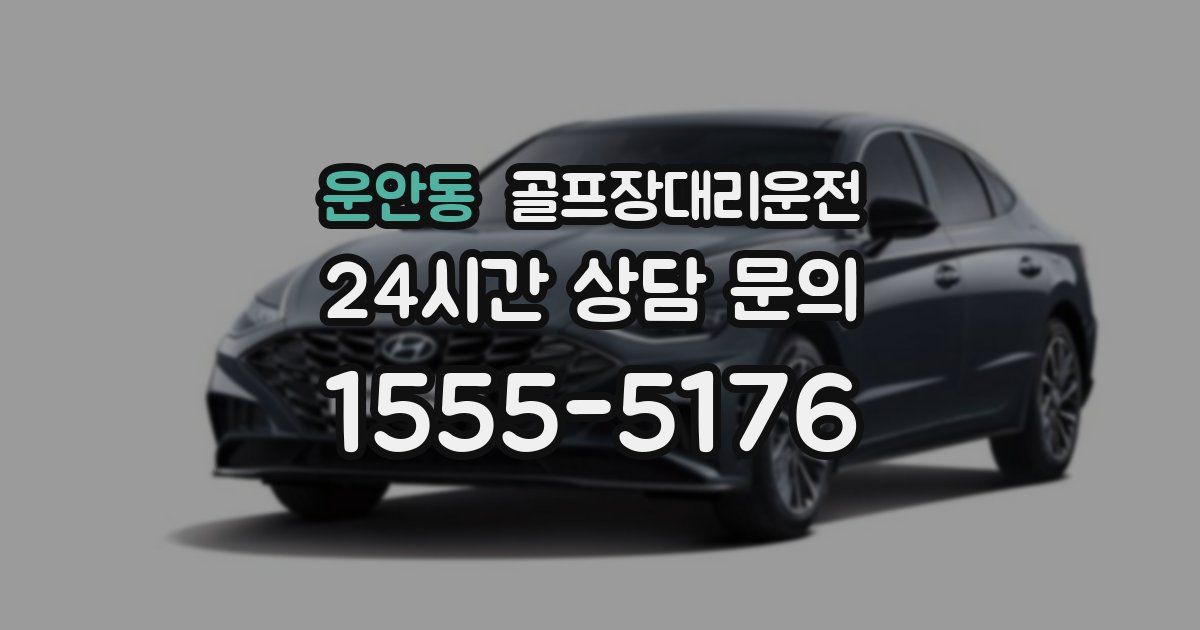 골프장대리운전 서비스