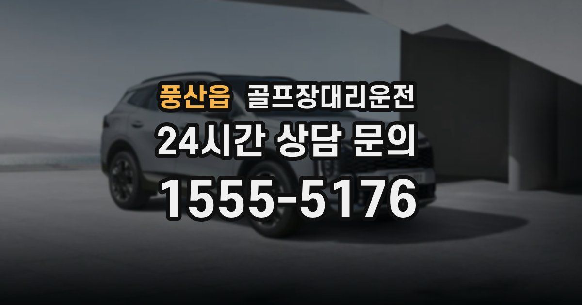골프장대리운전 서비스