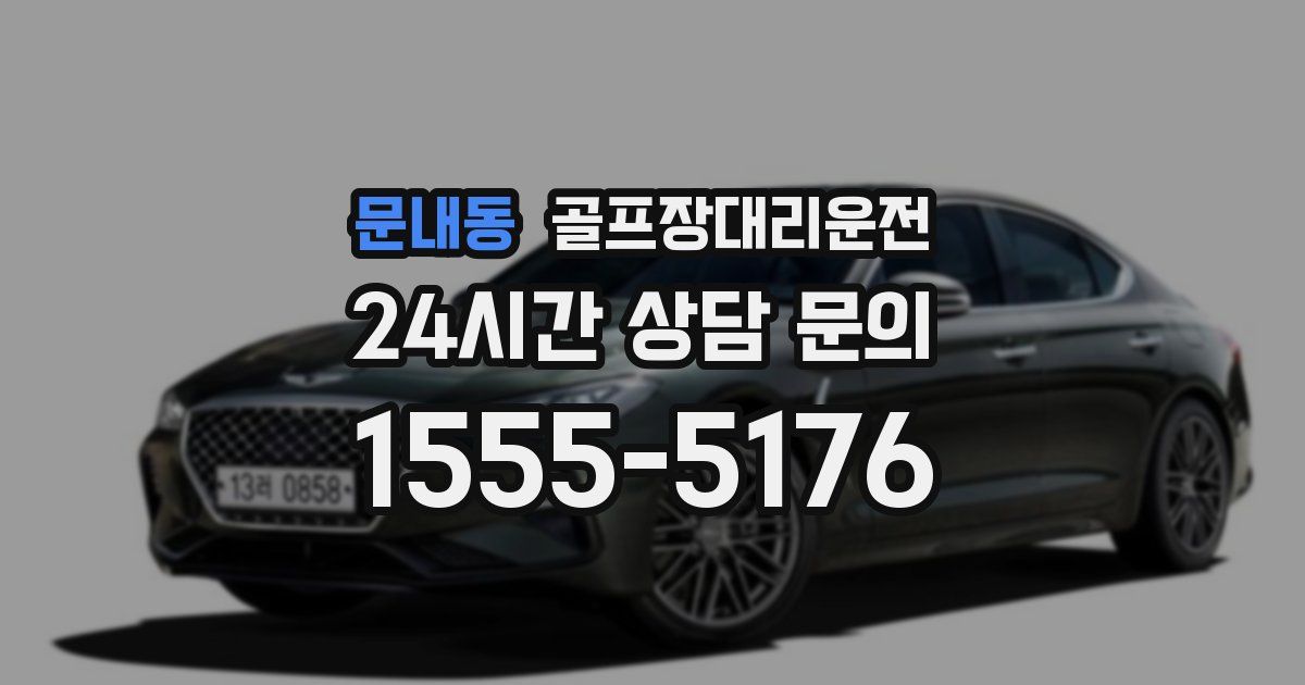 골프장대리운전 서비스