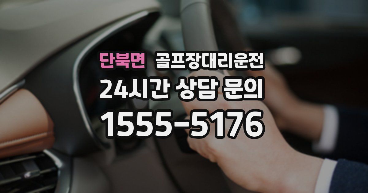 골프장대리운전 서비스