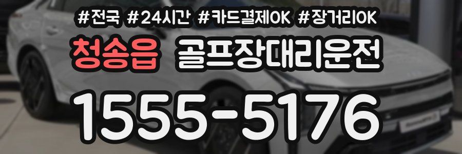 청송읍 골프장대리운전