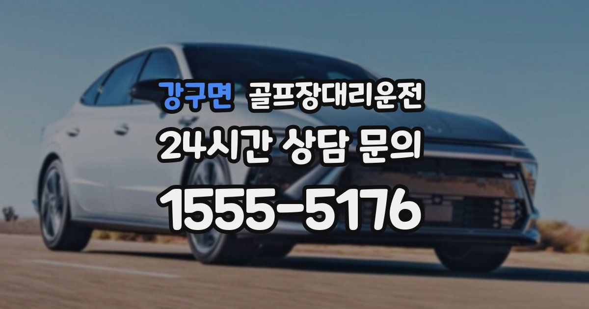 골프장대리운전 서비스