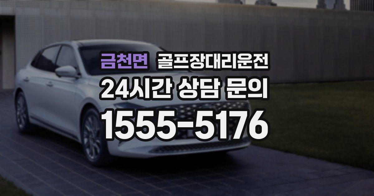 골프장대리운전 서비스