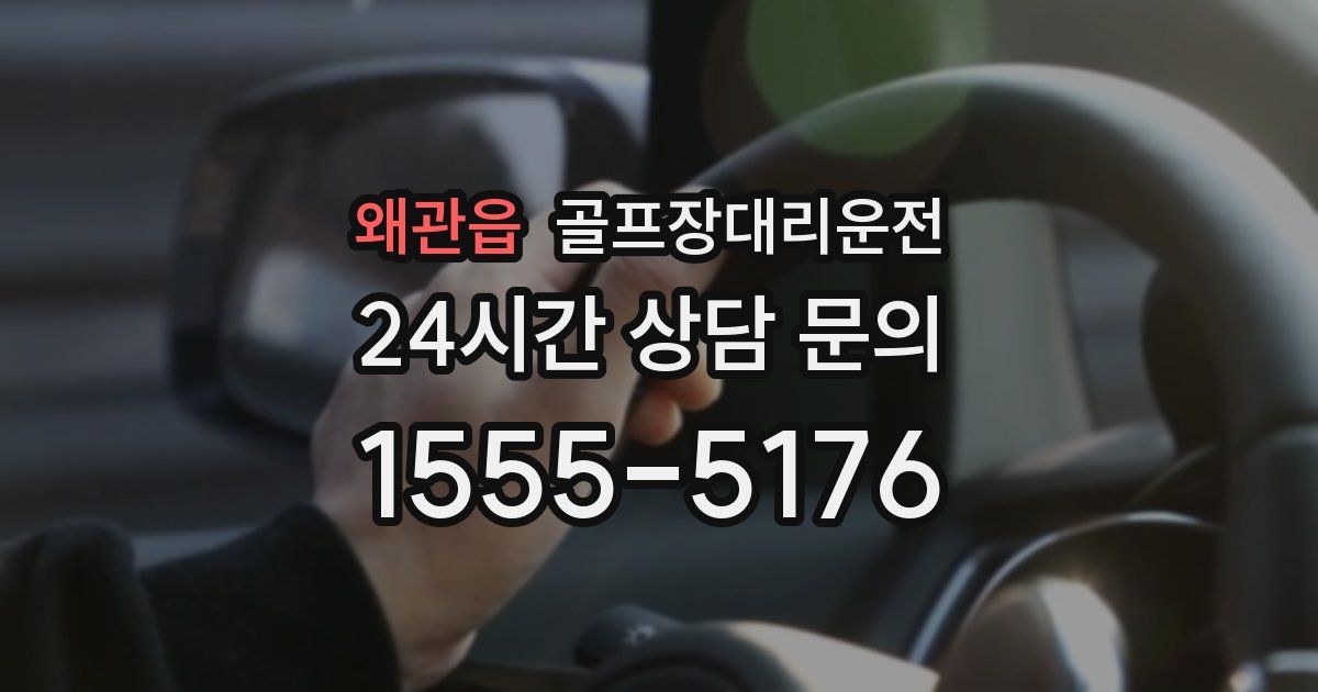 골프장대리운전 서비스