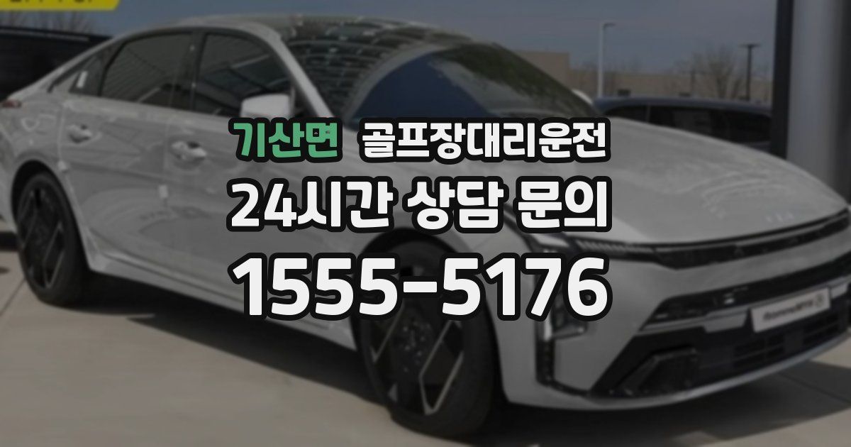 골프장대리운전 서비스