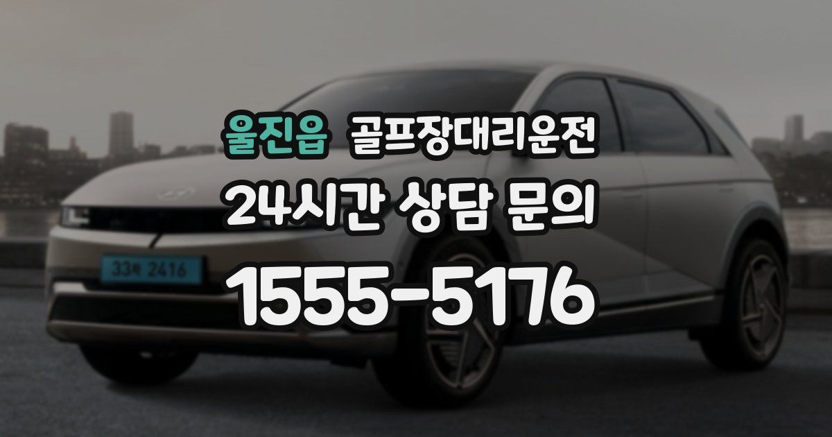골프장대리운전 서비스