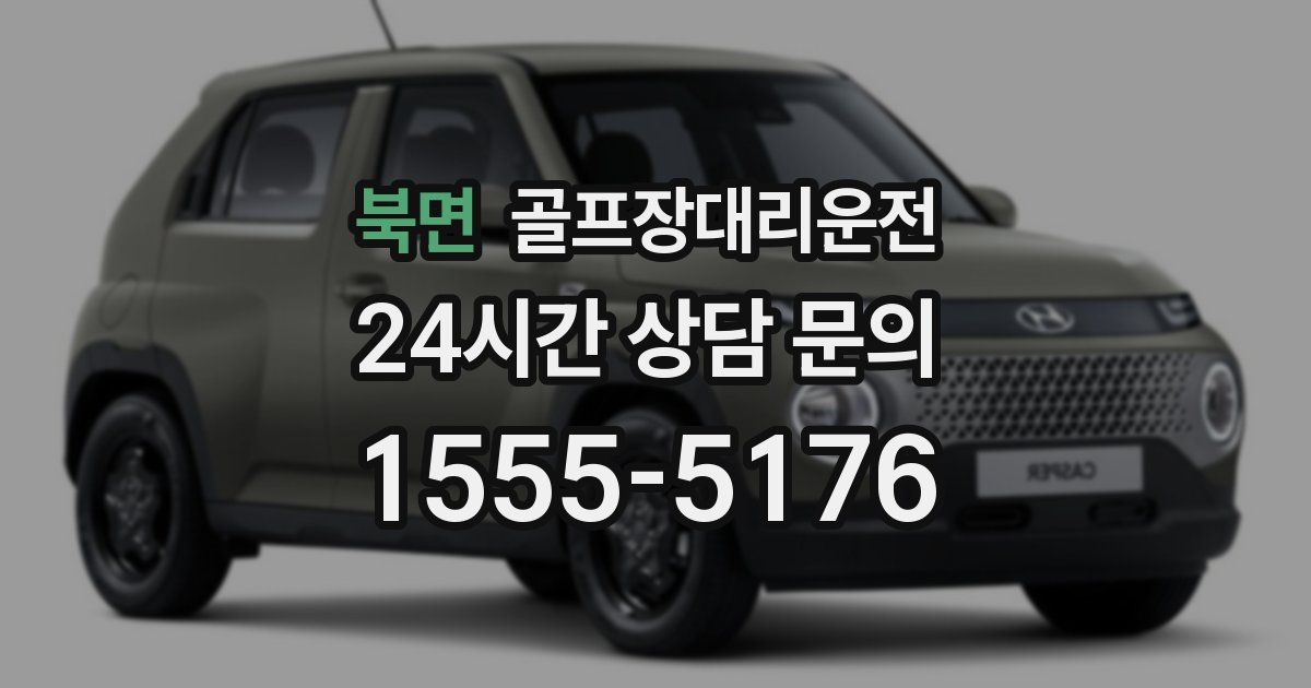 골프장대리운전 서비스