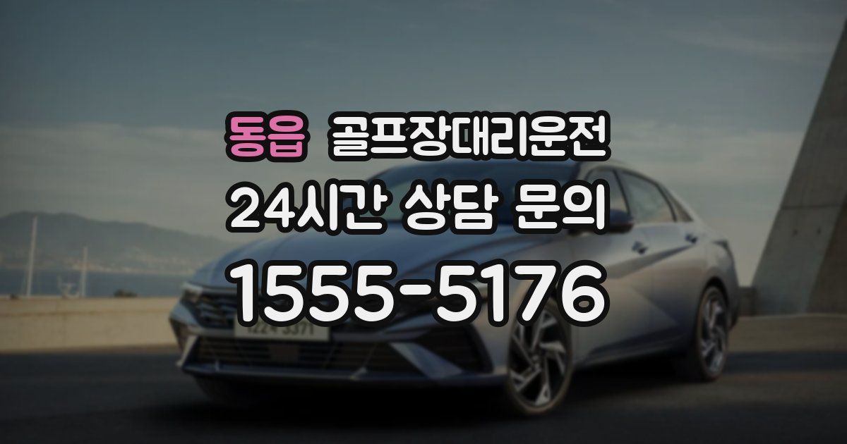 골프장대리운전 서비스