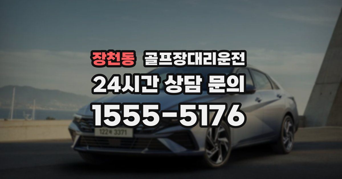 골프장대리운전 서비스