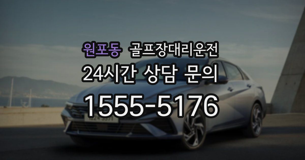 골프장대리운전 서비스