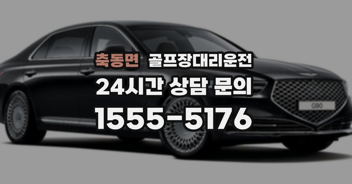 골프장대리운전 서비스