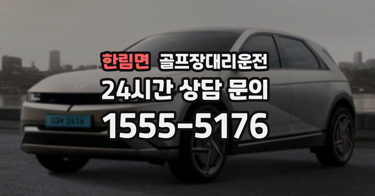 골프장대리운전 서비스