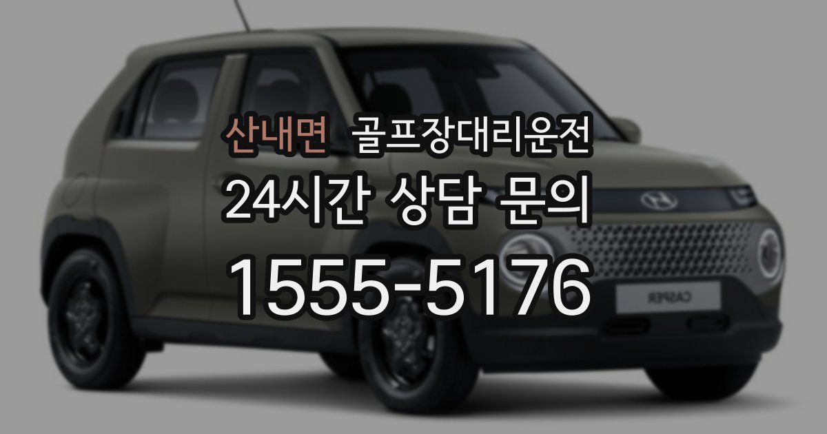 골프장대리운전 서비스