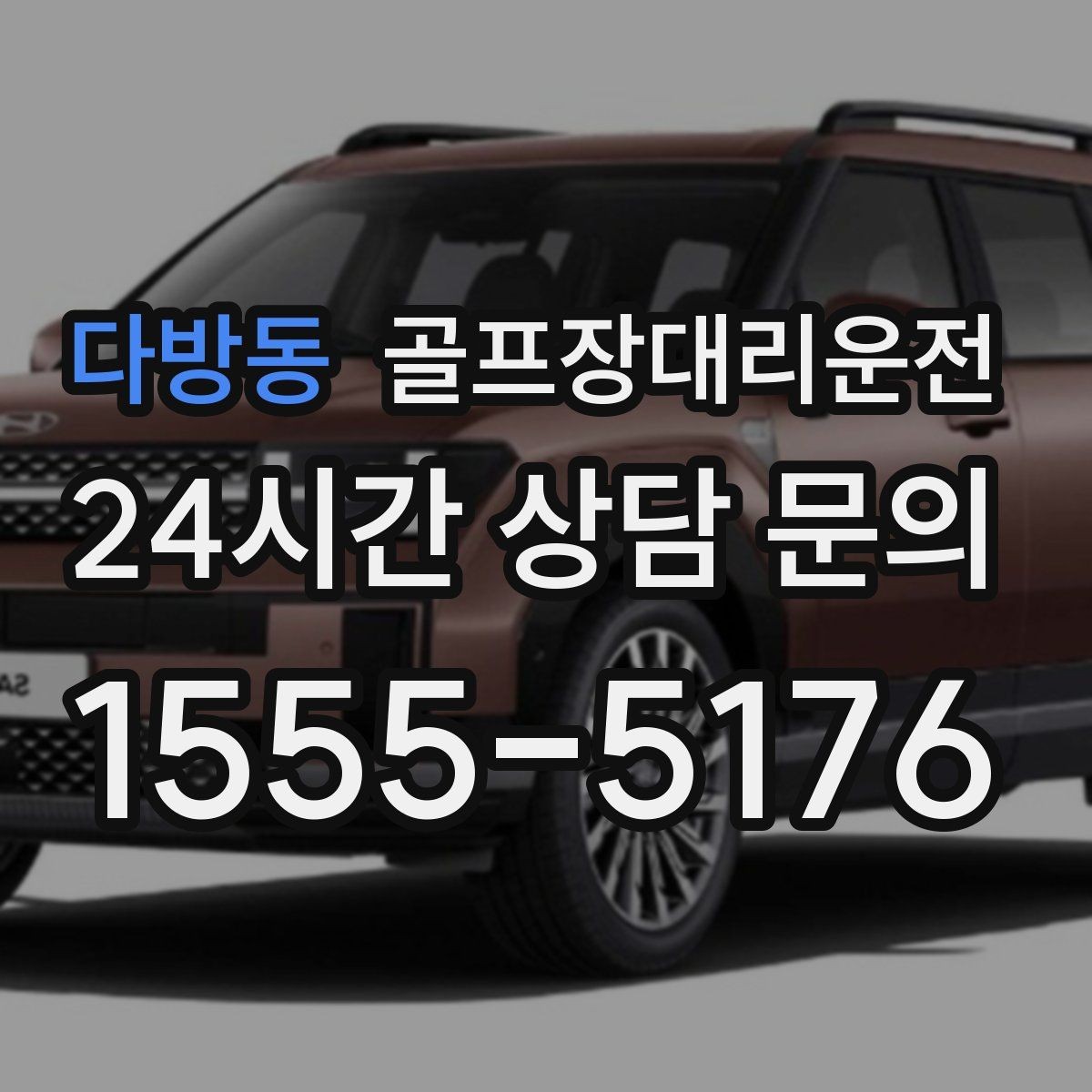다방동 골프장대리운전 코스 주차 특징을 반영한 안전한 진입