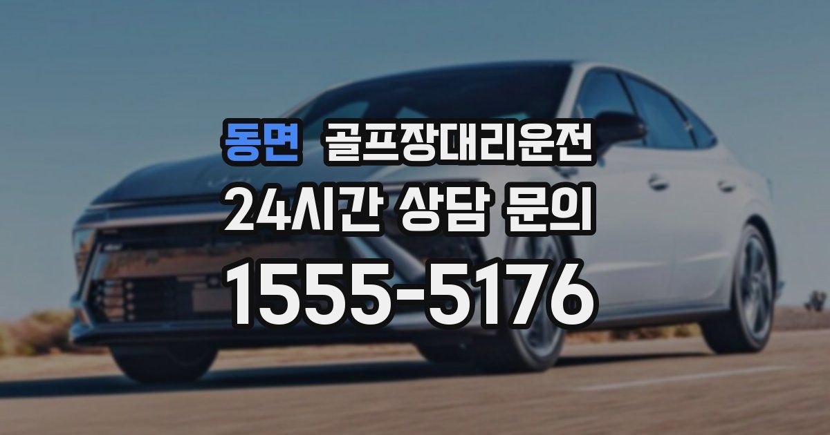 골프장대리운전 서비스