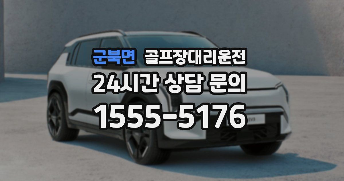 골프장대리운전 서비스