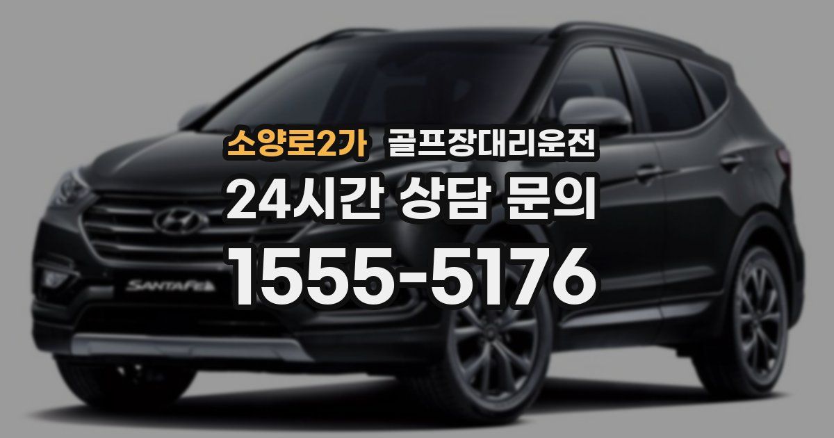 골프장대리운전 서비스