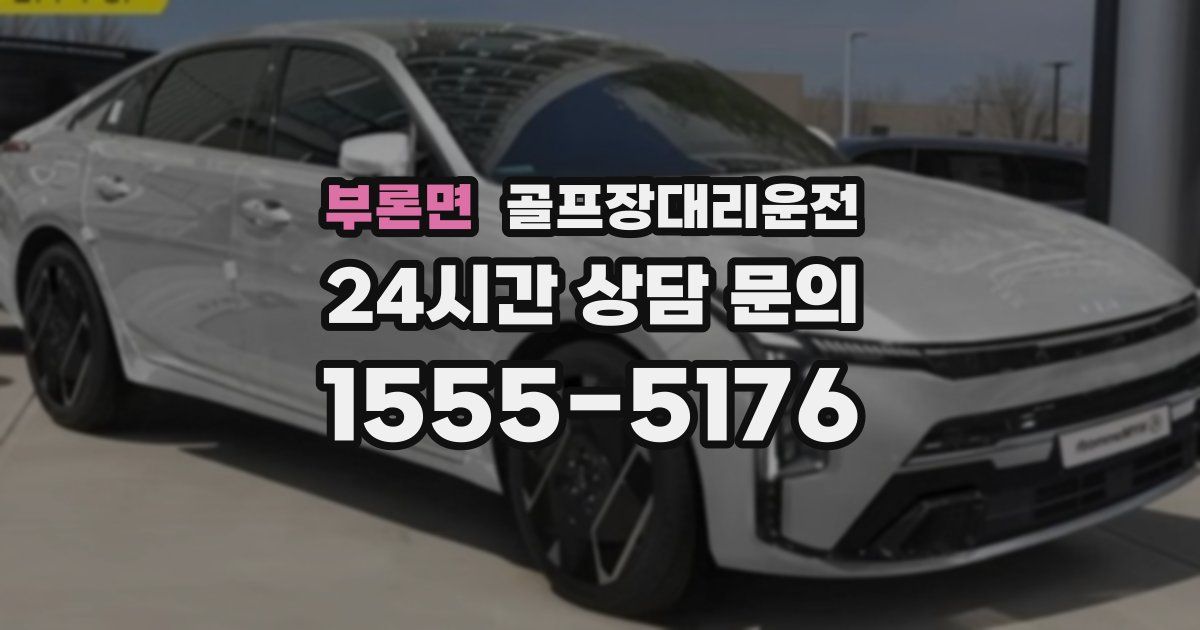 골프장대리운전 서비스