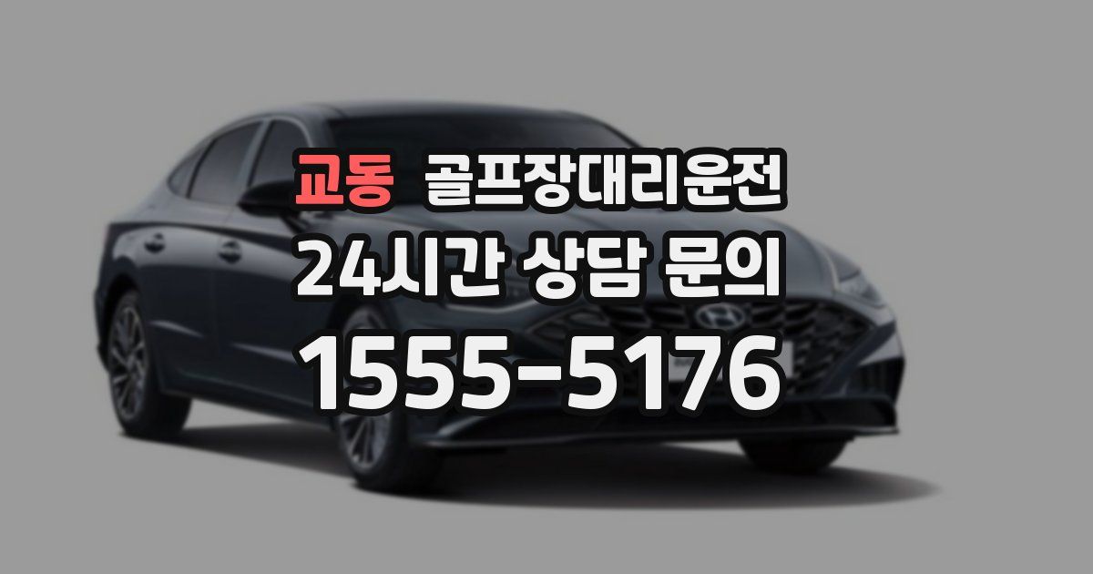 골프장대리운전 서비스