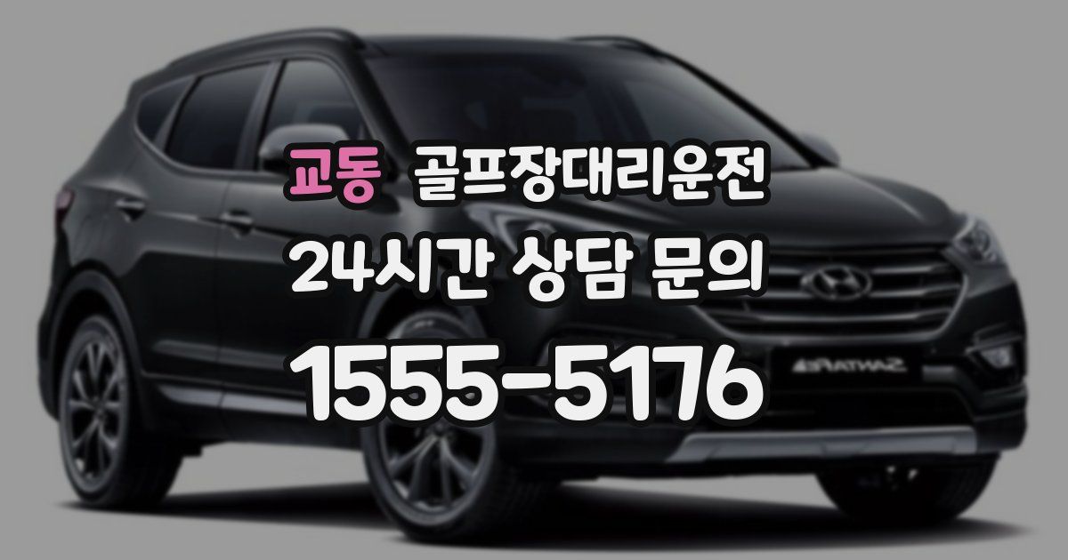 골프장대리운전 서비스