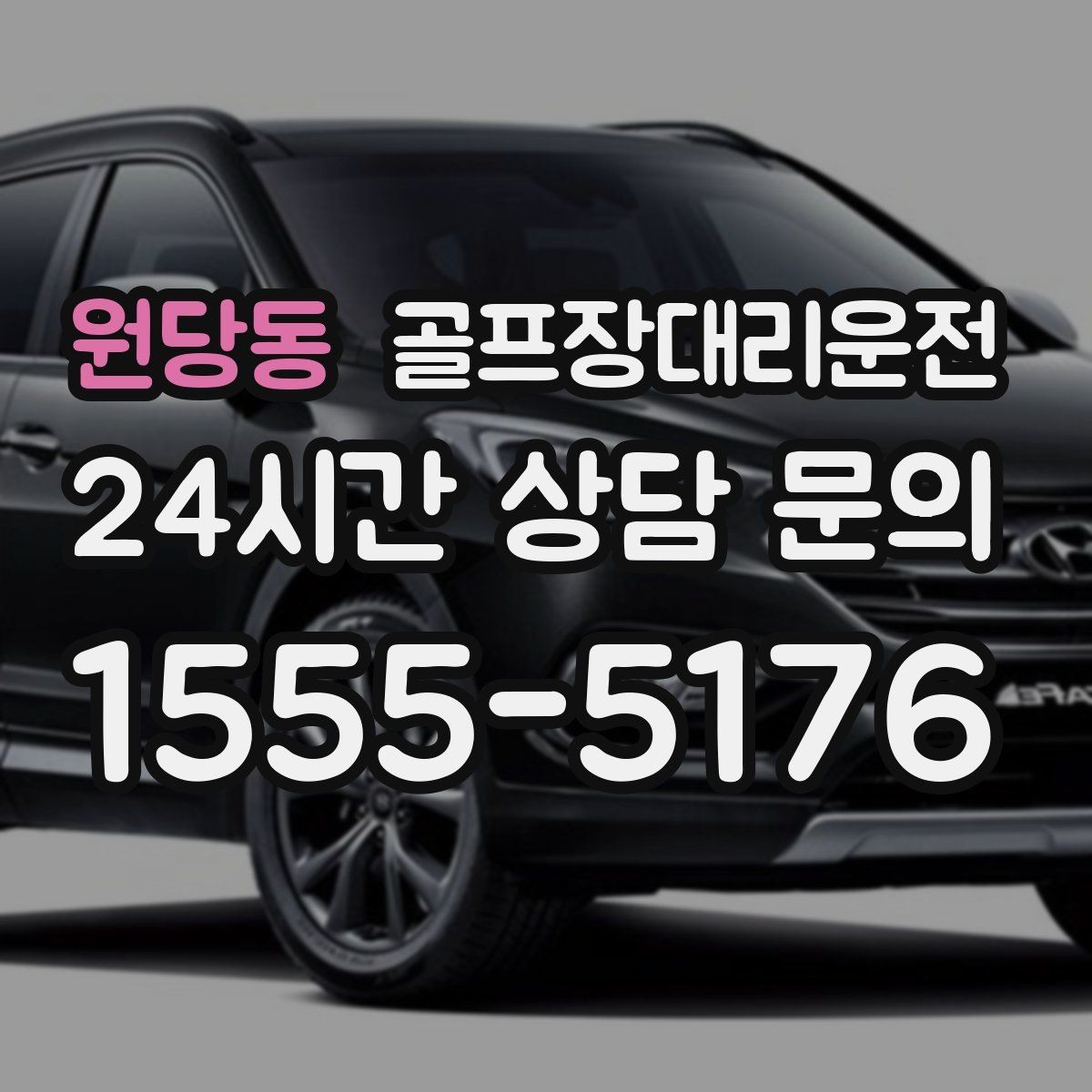 원당동 골프장대리운전 카트 도로와 차량 동선의 충돌을 피하는 설계
