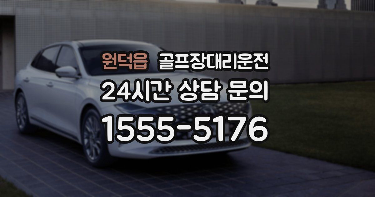 골프장대리운전 서비스