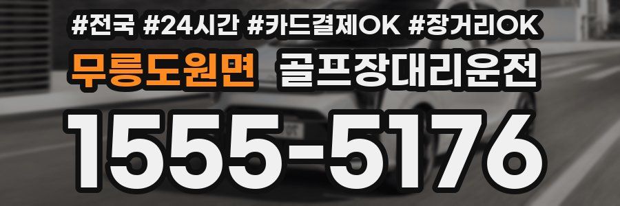 무릉도원면 골프장대리운전